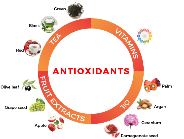Anti-Oxidants and Cardio Supportive