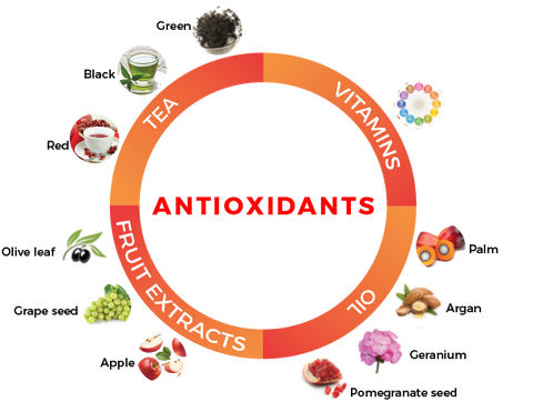 Anti-Oxidants and Cardio Supportive