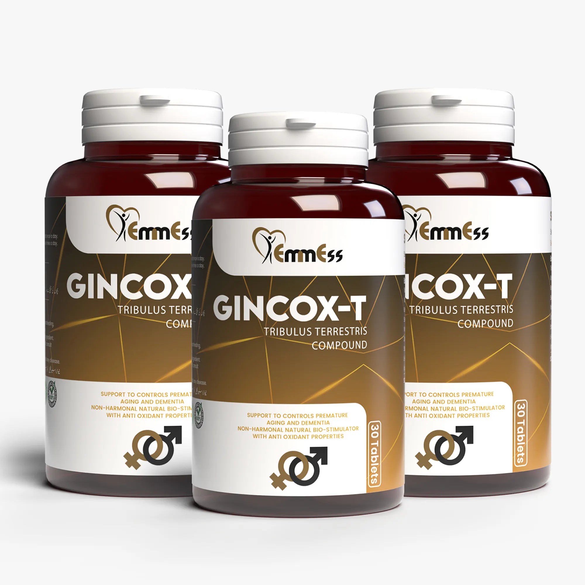 3 Gincox-t (Men's Health Bundle) - EmmEss Nutraceuticals