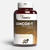 GINCOX-T - EmmEss Nutraceuticals