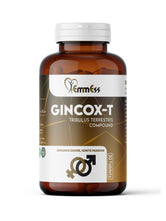 GINCOX-T TABLET
